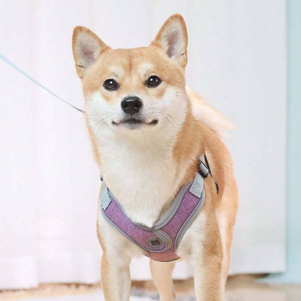 Adjustable padded dog harness set with leash in a reflective vest style for small and medium dogs, polyester colorblock design