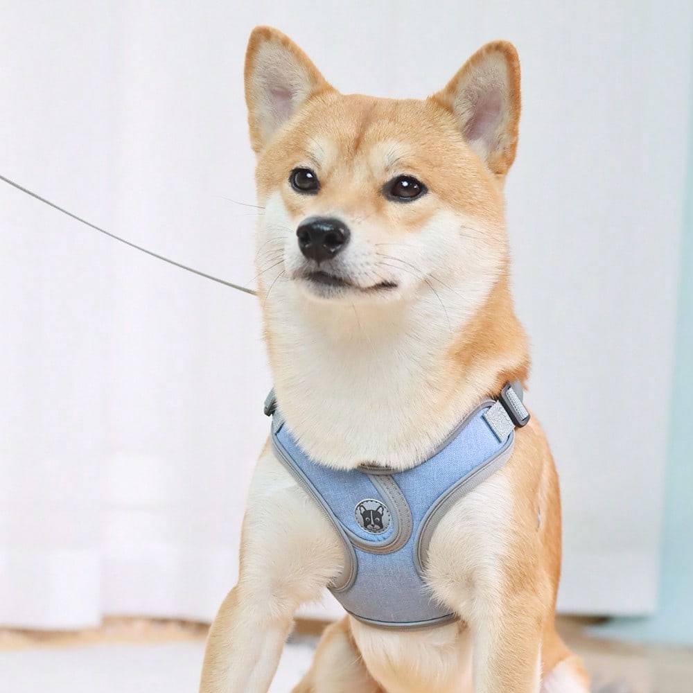 Adjustable padded dog harness set with leash in a reflective vest style for small and medium dogs, polyester colorblock design