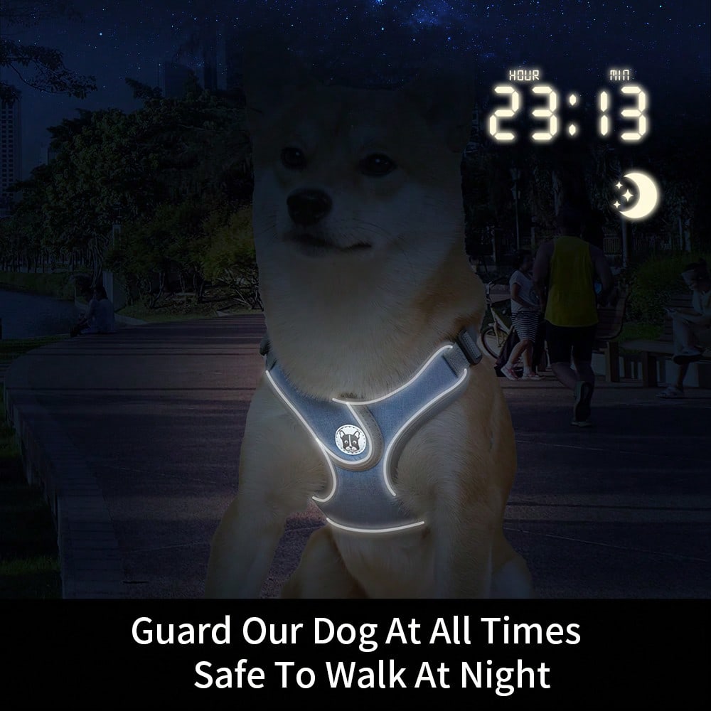 Adjustable padded dog harness set with leash in a reflective vest style for small and medium dogs, polyester colorblock design