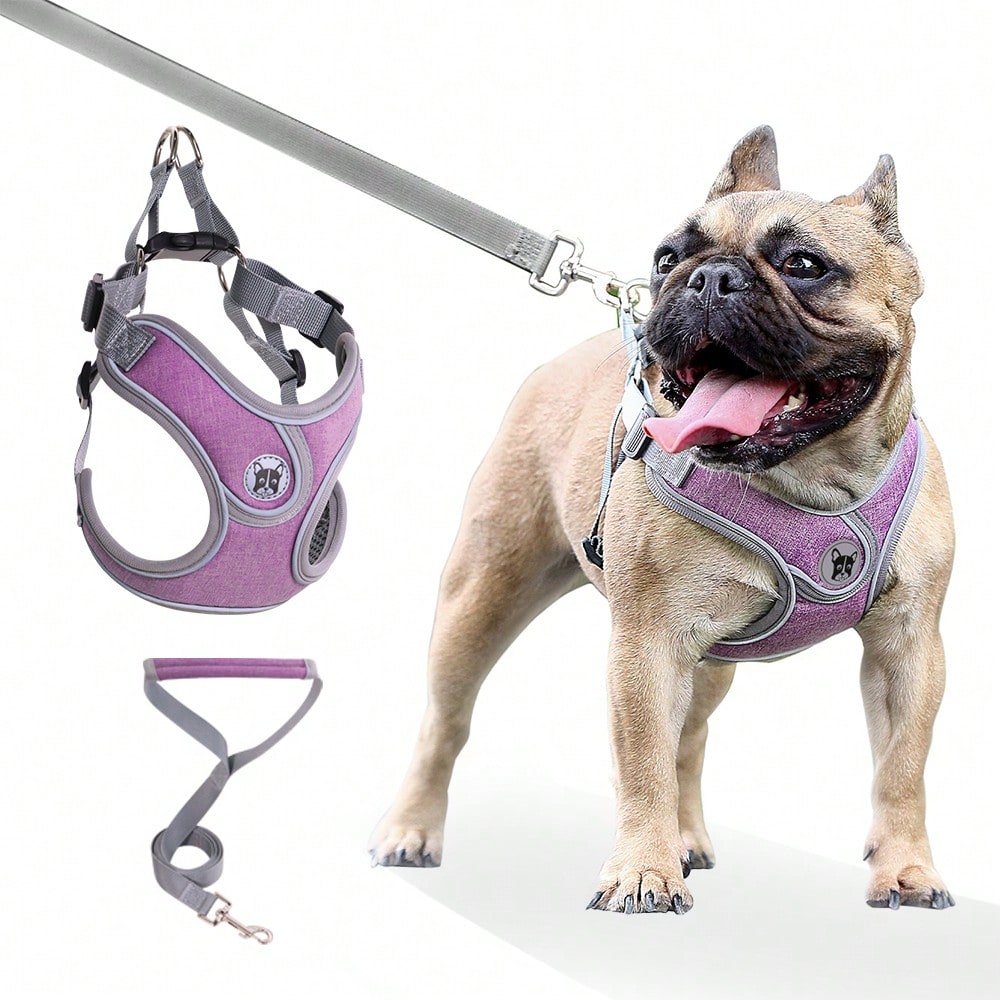 Adjustable padded dog harness set with leash in a reflective vest style for small and medium dogs, polyester colorblock design