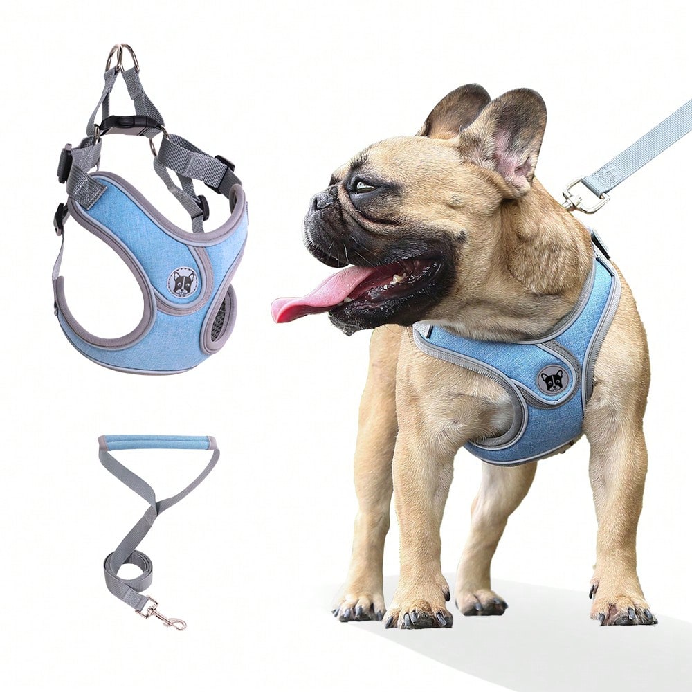 Adjustable padded dog harness set with leash in a reflective vest style for small and medium dogs, polyester colorblock design