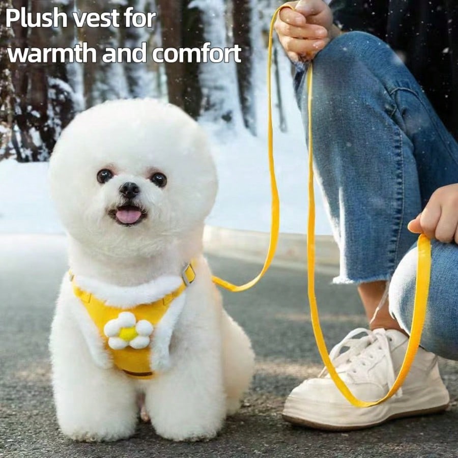 Multicolor polyester dog and cat winter chest harness leash set with warm vest-style design and floral pattern for small pets outdoor travel