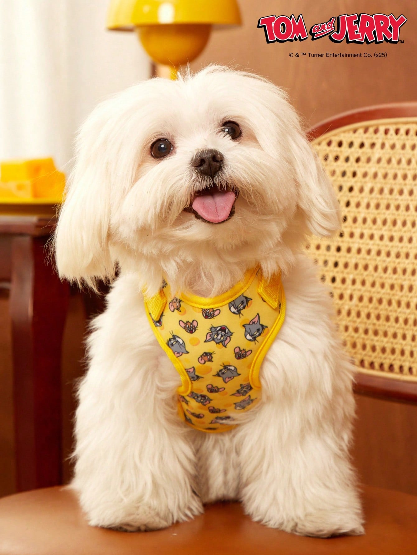 Powerpuff Girls cartoon dog harness with heart print, breathable polyester mesh, adjustable straps, and vibrant color block design for small dogs