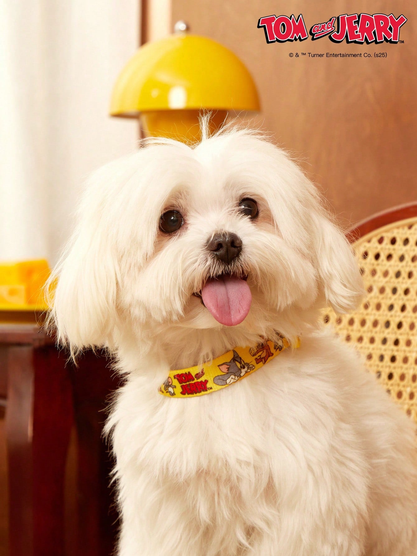 Yellow polyamide dog collar with Halloween cartoon print and quick-release buckle for small and medium dogs