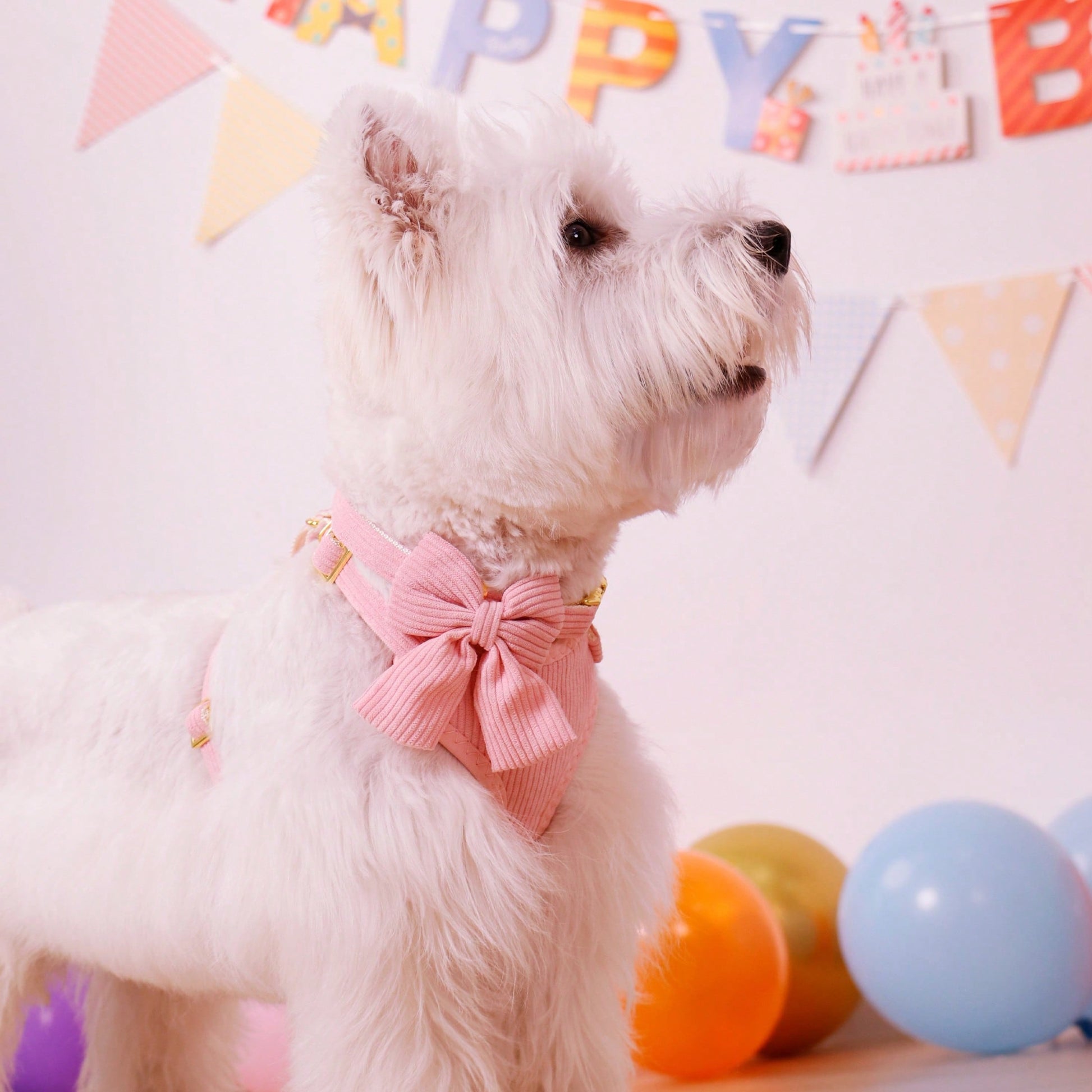 Rose red velvet bow dog collar, leash, and harness set for cats and dogs, made with polyester for everyday pet walks and styling.