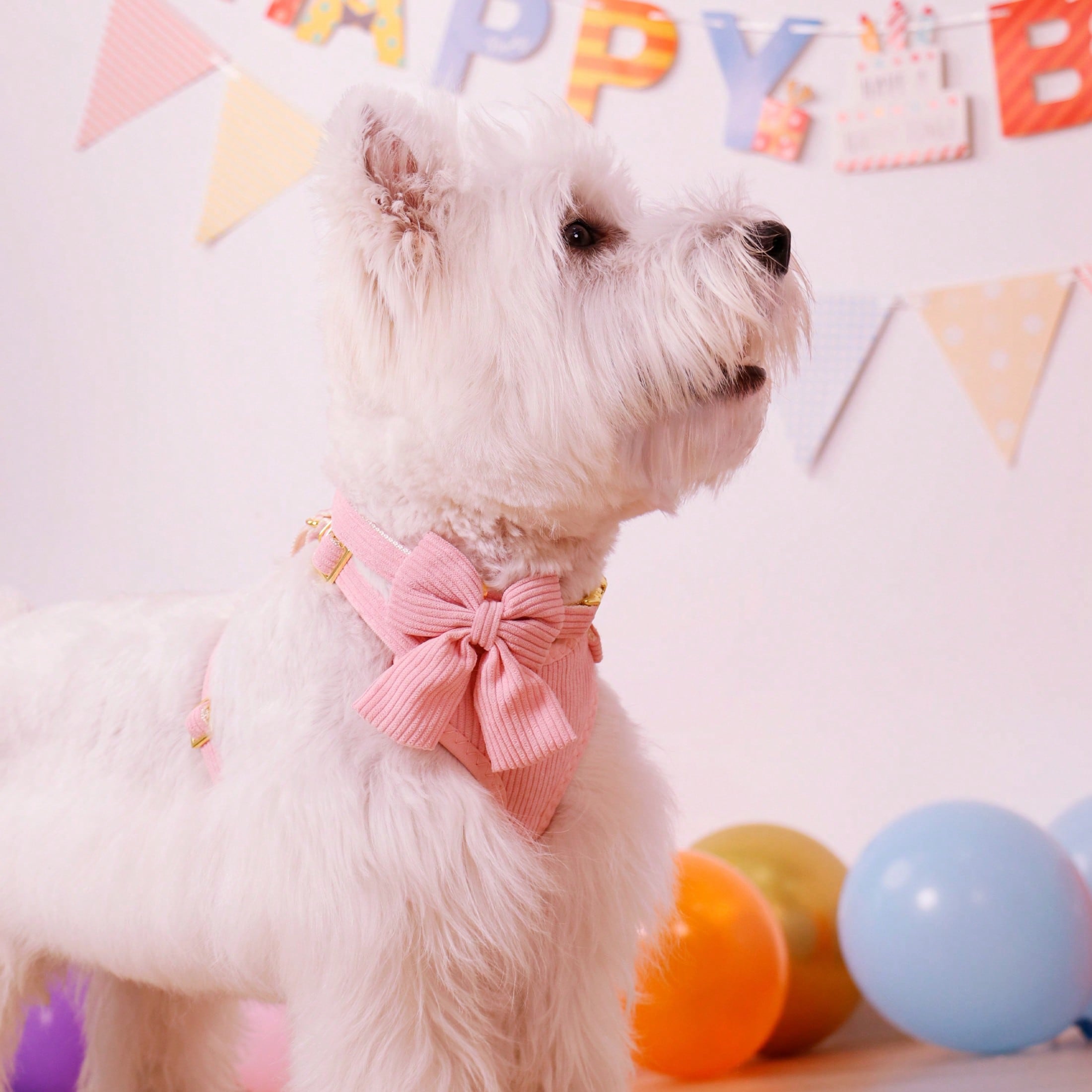 Rose red velvet bow dog collar, leash, and harness set for cats and dogs, made with polyester for everyday pet walks and styling.