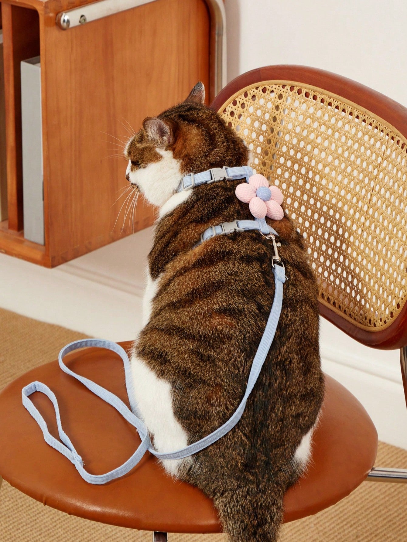 Multicolor flower-shaped cat harness with leash, striped pattern, lightweight polyester pet traction set for cats