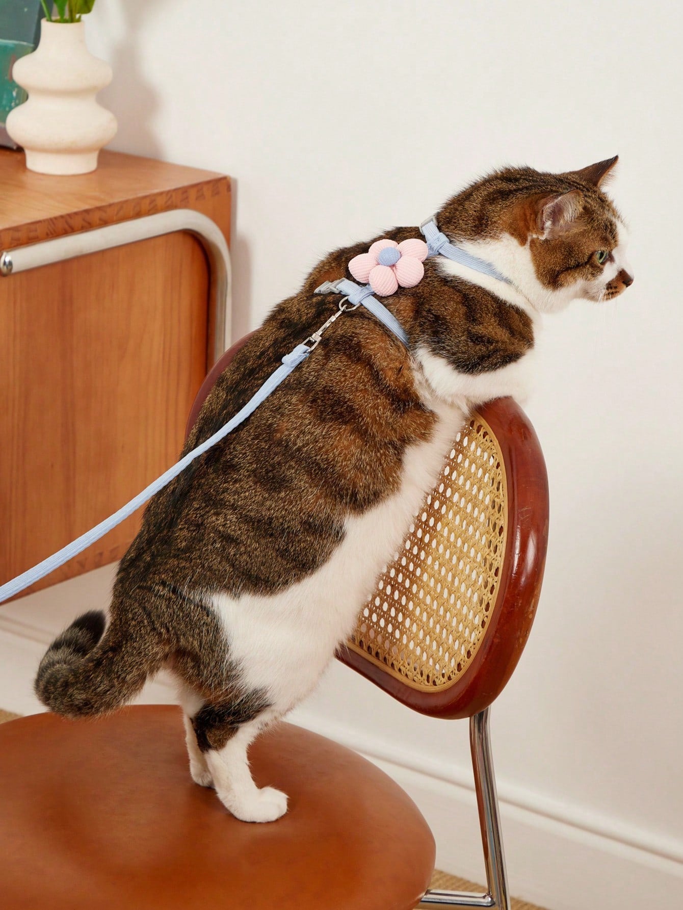Multicolor flower-shaped cat harness with leash, striped pattern, lightweight polyester pet traction set for cats