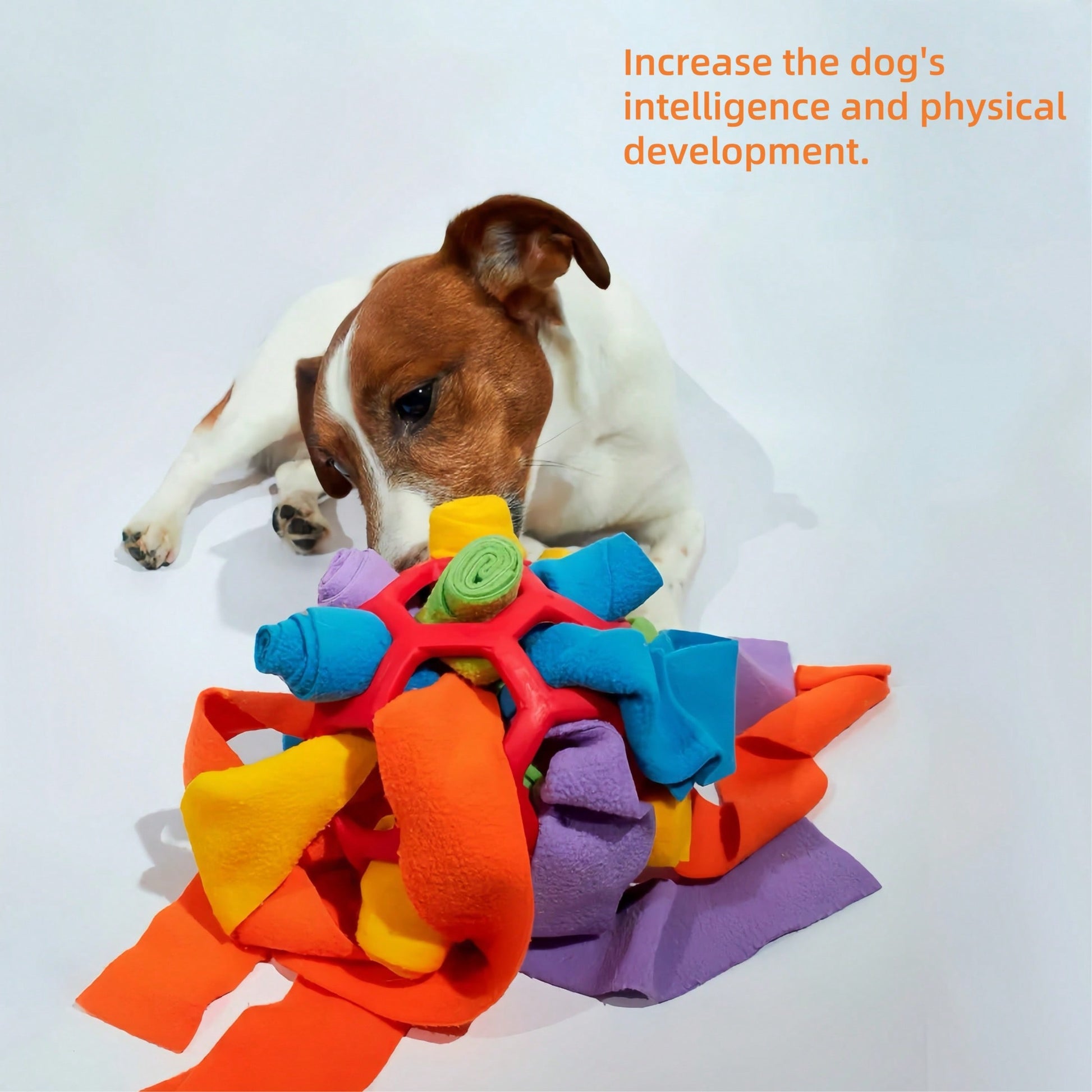 1pc Dog Sniff Ball Toy, Can Hide Treats & Bubbles, Rubber Ball Sniff Puzzle Toy For Developing Intelligence & Strengthening Body