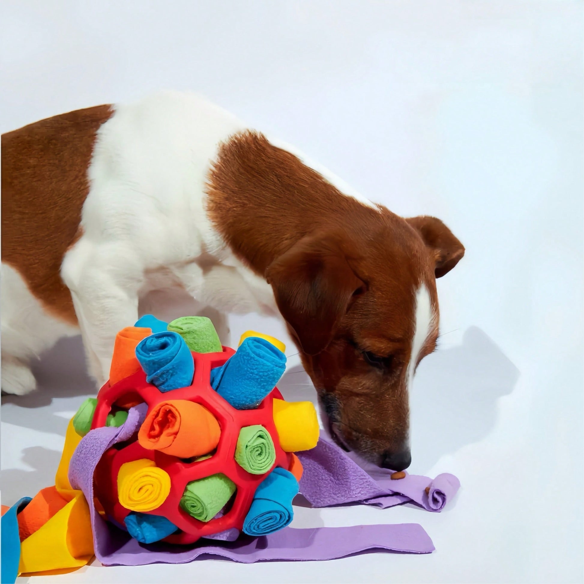 1pc Dog Sniff Ball Toy, Can Hide Treats & Bubbles, Rubber Ball Sniff Puzzle Toy For Developing Intelligence & Strengthening Body