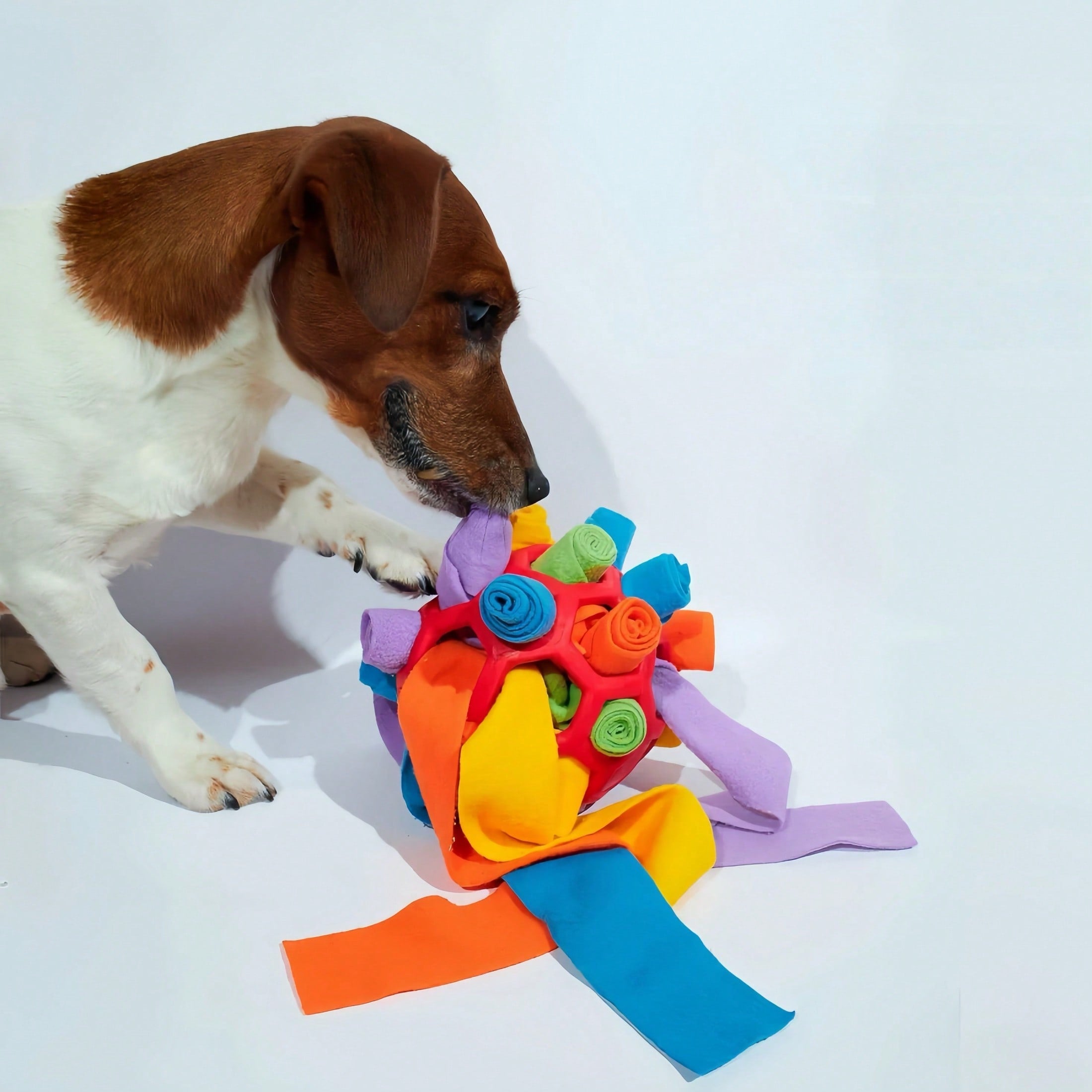 1pc Dog Sniff Ball Toy, Can Hide Treats & Bubbles, Rubber Ball Sniff Puzzle Toy For Developing Intelligence & Strengthening Body
