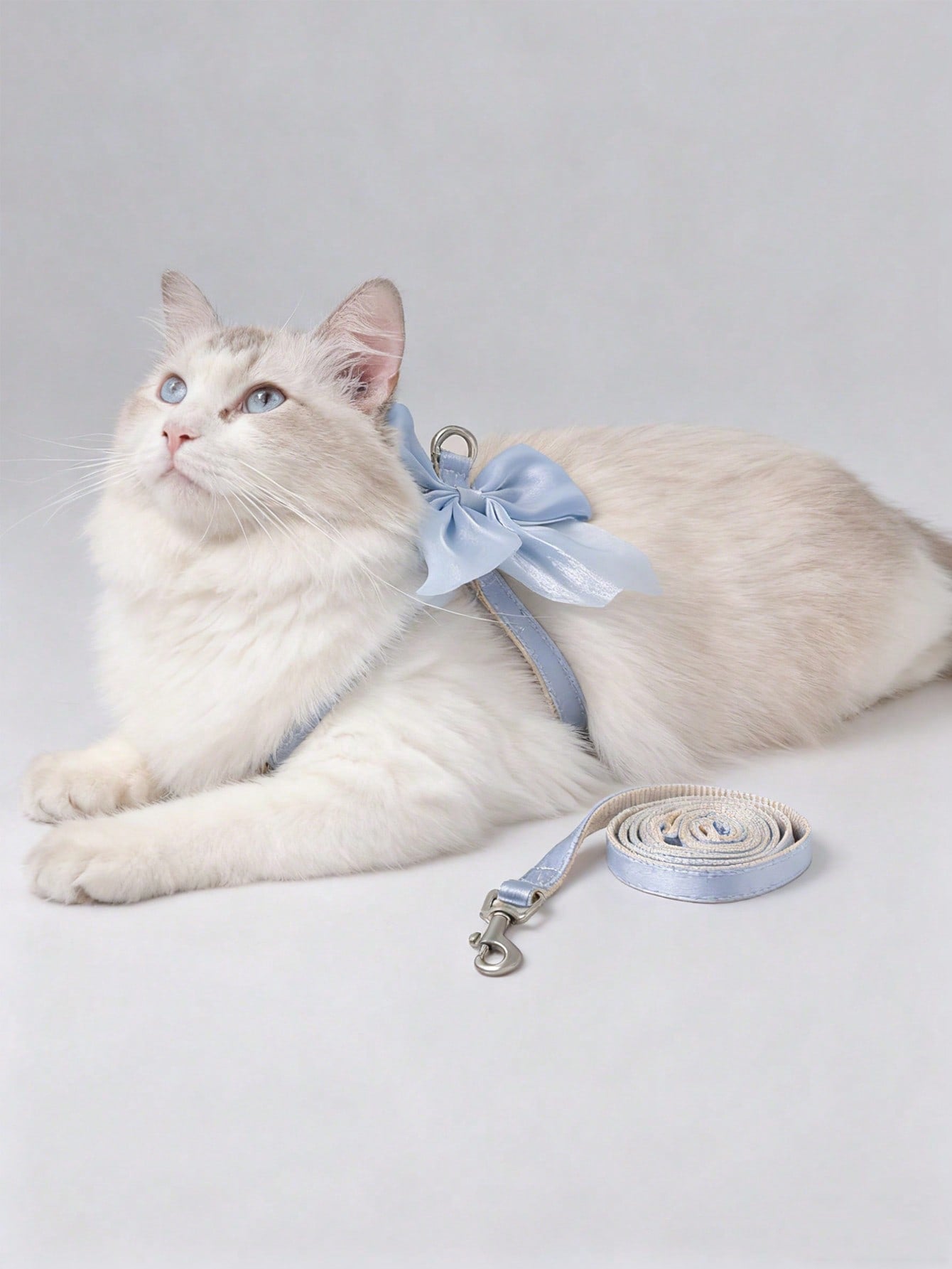 2-piece X-shape polyester pet leash and harness set with angel wing chest strap decor for cats and small to medium dogs