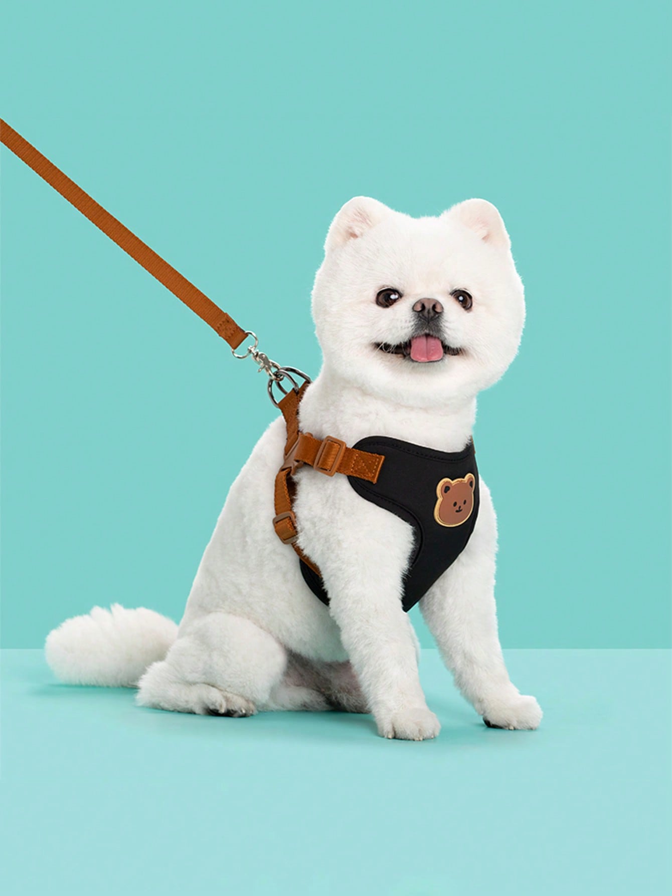 Multicolor polyester dog leash and collar set with plaid teddy bear pattern for small dogs and outdoor walking