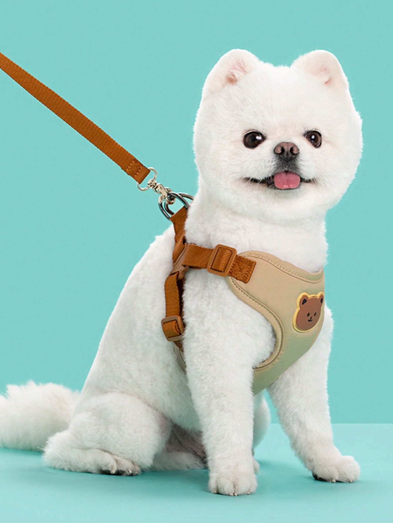 Multicolor polyester dog leash and collar set with plaid teddy bear pattern for small dogs and outdoor walking