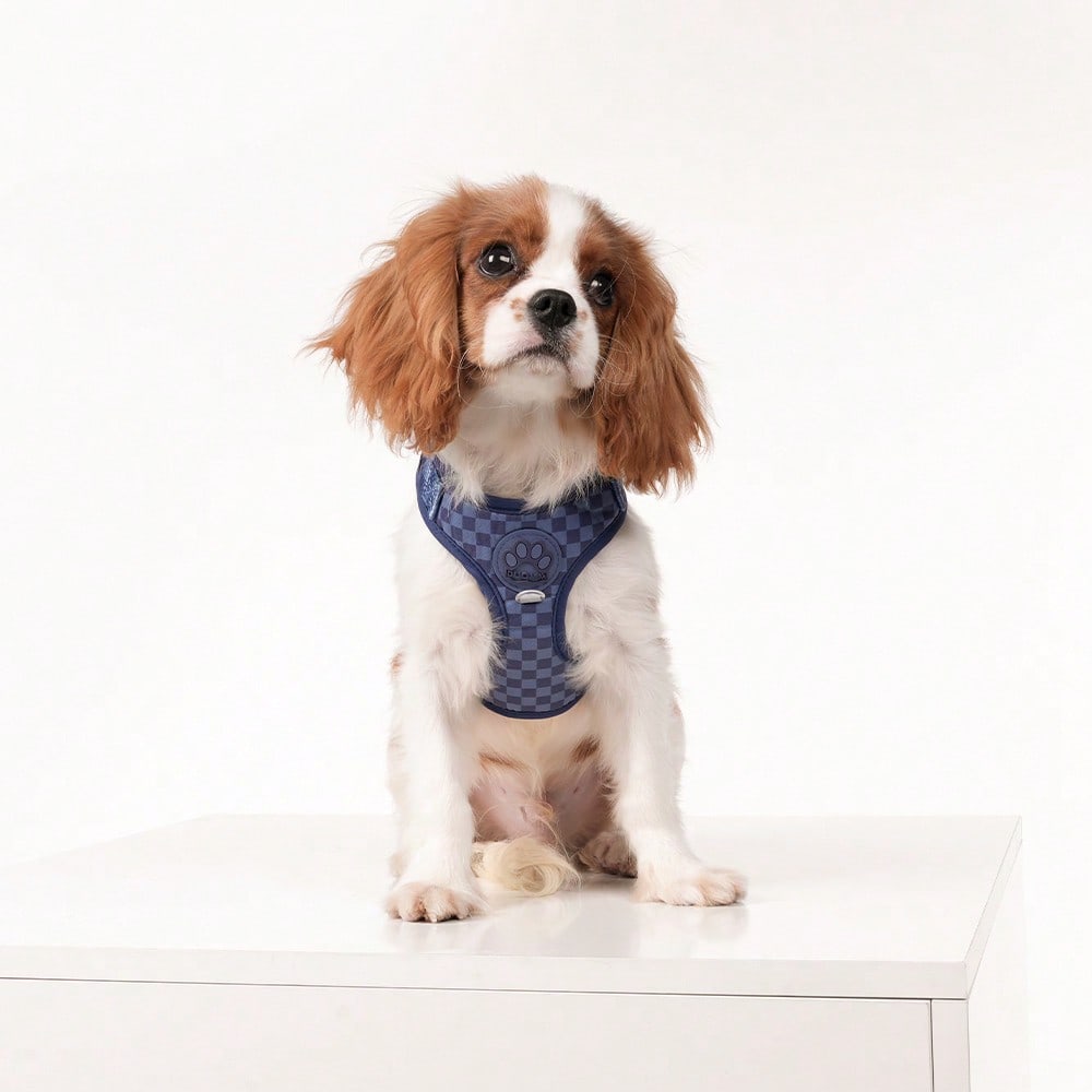 Navy blue checkered dog harness and leash set made from polyester with breathable mesh, adjustable fit, back circular ring, and matching leash for cats or small dogs.