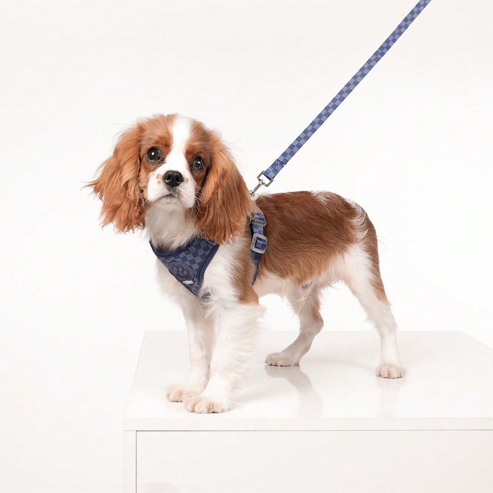 Navy blue checkered dog harness and leash set made from polyester with breathable mesh, adjustable fit, back circular ring, and matching leash for cats or small dogs.