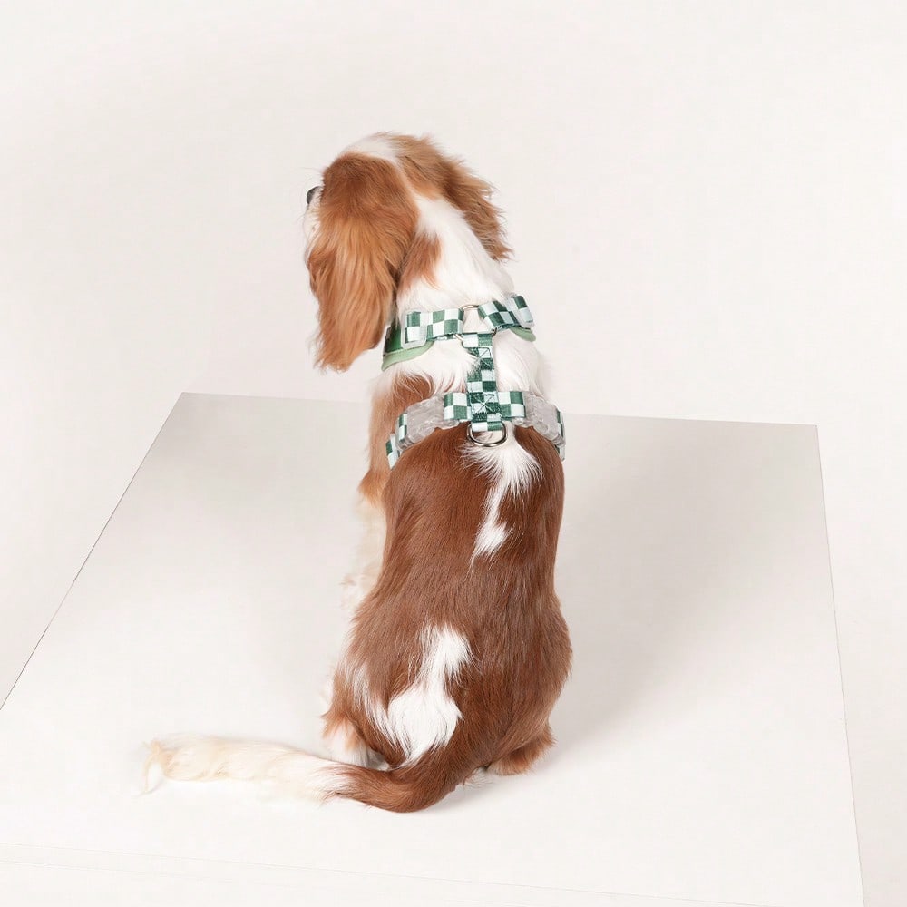 Green plaid dog harness and leash set made of breathable polyester mesh with adjustable anti-friction design, back round ring, matching leash, and waste bag holder for small dogs and cats.