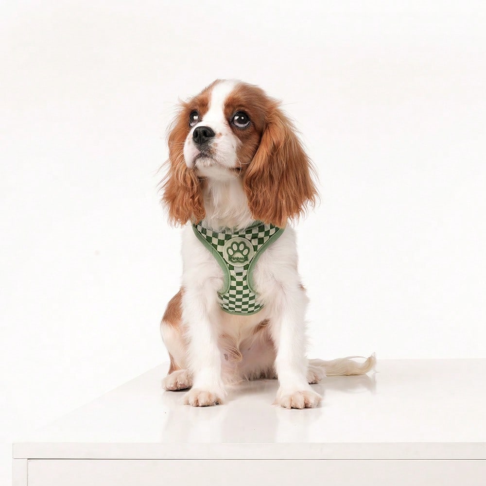Green plaid dog harness and leash set made of breathable polyester mesh with adjustable anti-friction design, back round ring, matching leash, and waste bag holder for small dogs and cats.