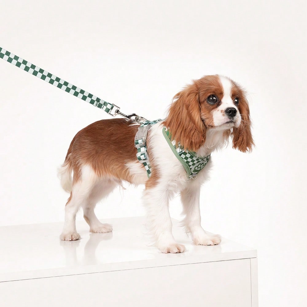 Green plaid dog harness and leash set made of breathable polyester mesh with adjustable anti-friction design, back round ring, matching leash, and waste bag holder for small dogs and cats.