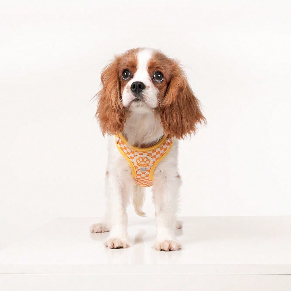 Spring New Plaid Pattern Dog Harness And Leash Set, Made Of Soft Breathable Mesh Fabric, Back Equipped With Round Ring For Increased Stability, Anti-Friction Design, Adjustable Size, Suitable For Small Dogs - Fashionable And Comfortable, Ideal For Daily