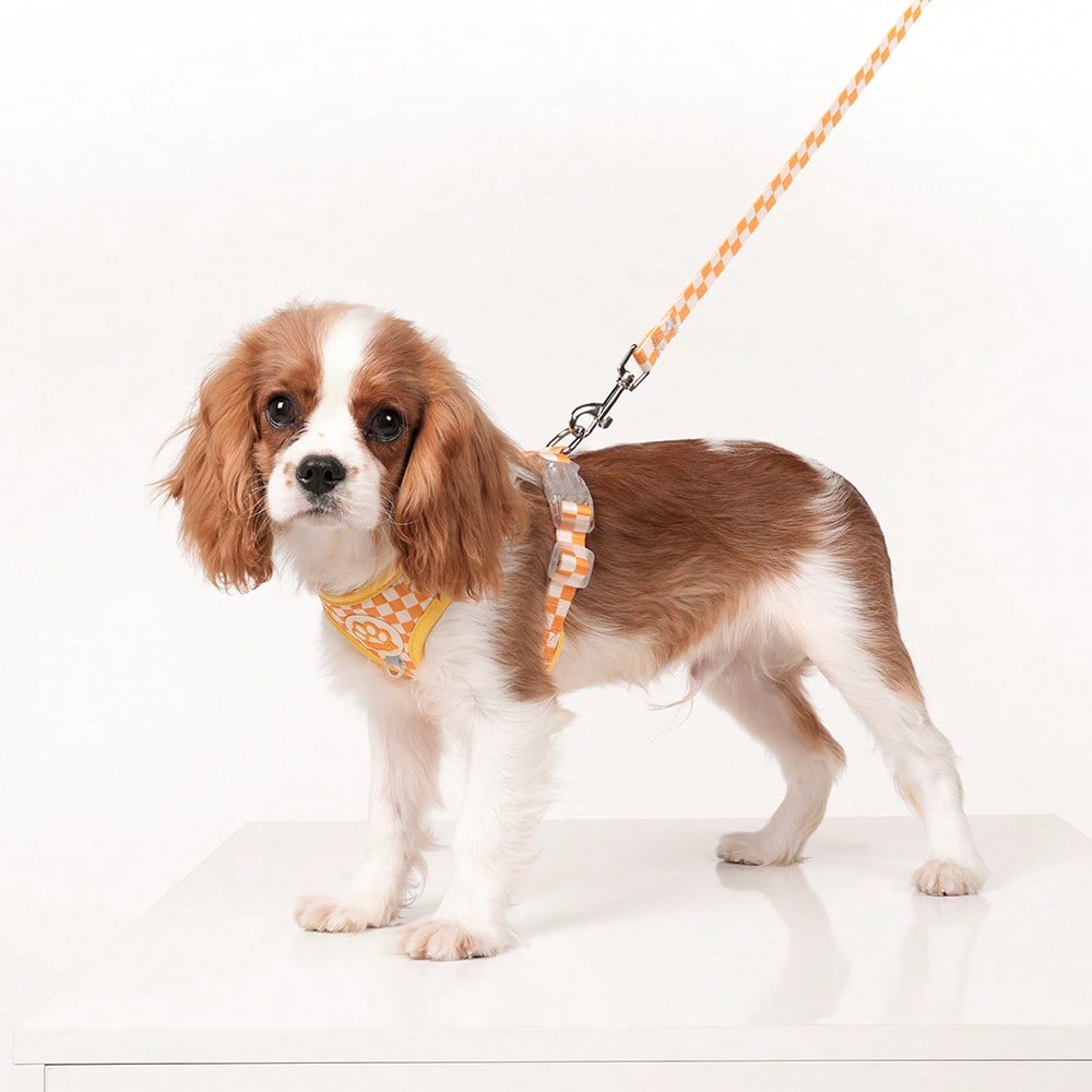 Spring New Plaid Pattern Dog Harness And Leash Set, Made Of Soft Breathable Mesh Fabric, Back Equipped With Round Ring For Increased Stability, Anti-Friction Design, Adjustable Size, Suitable For Small Dogs - Fashionable And Comfortable, Ideal For Daily