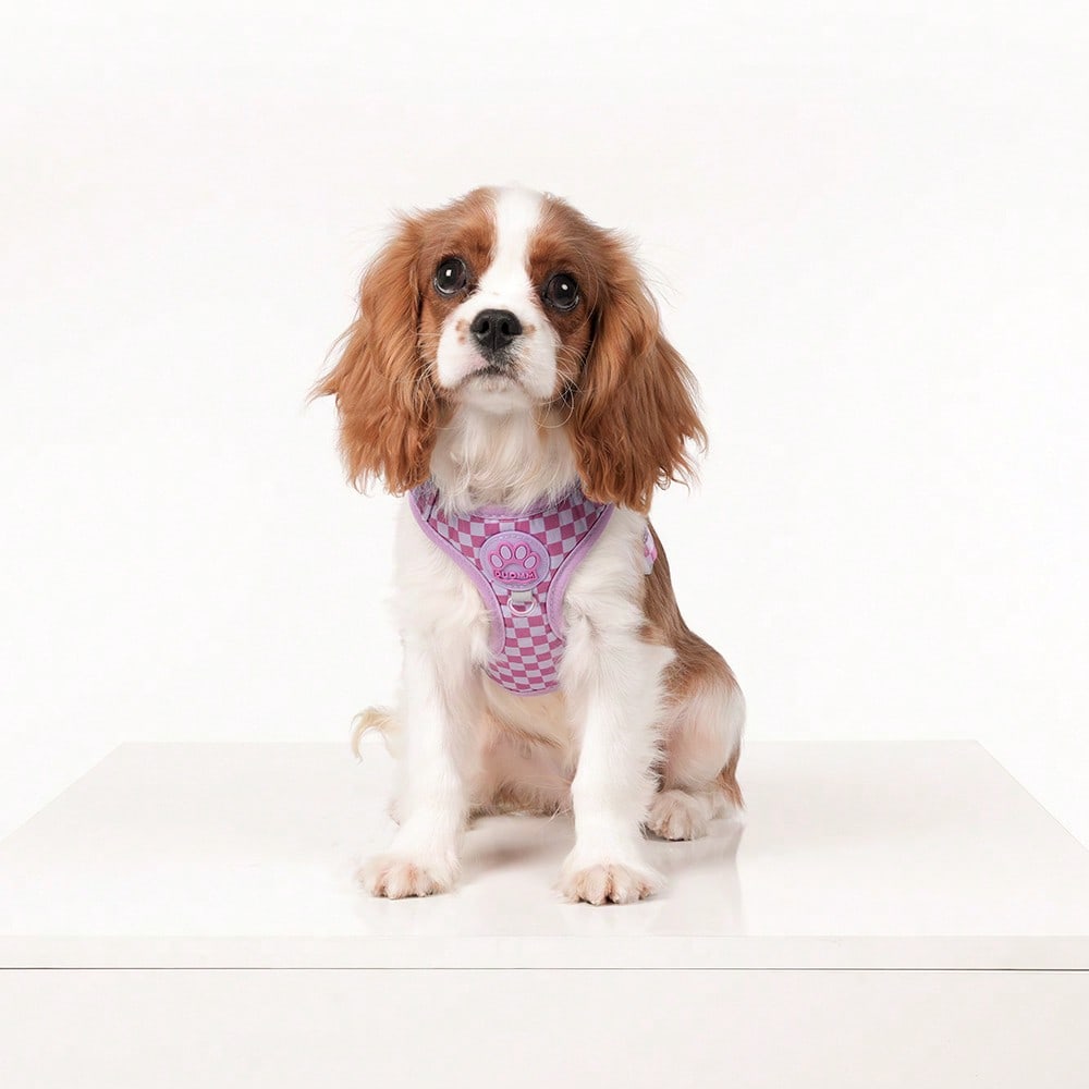 Mauve purple plaid dog harness and leash set made of polyester mesh, adjustable for small cats or dogs, with back ring and waste bag holder for walking and training.