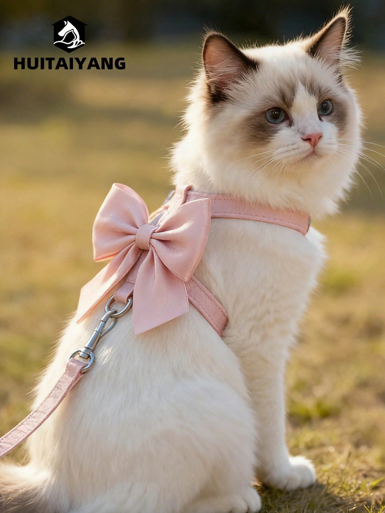 2-piece X-shape polyester pet leash and harness set with angel wing chest strap decor for cats and small to medium dogs