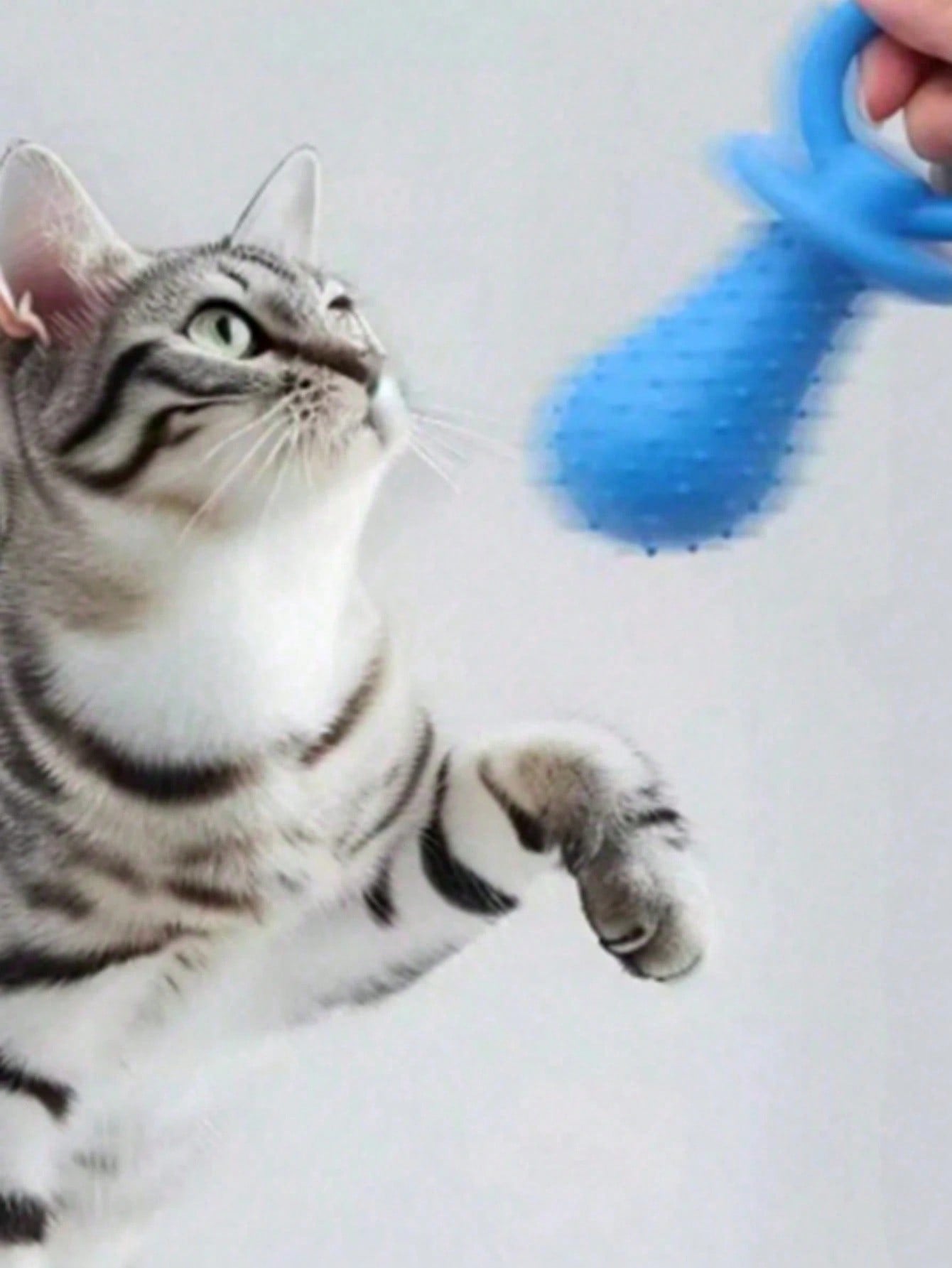 1/3pcs Pet Pacifier Dog Toy, Interactive Elastic Teething Toy, Pet Dog Cat Puppy Teeth Cleaning Toy