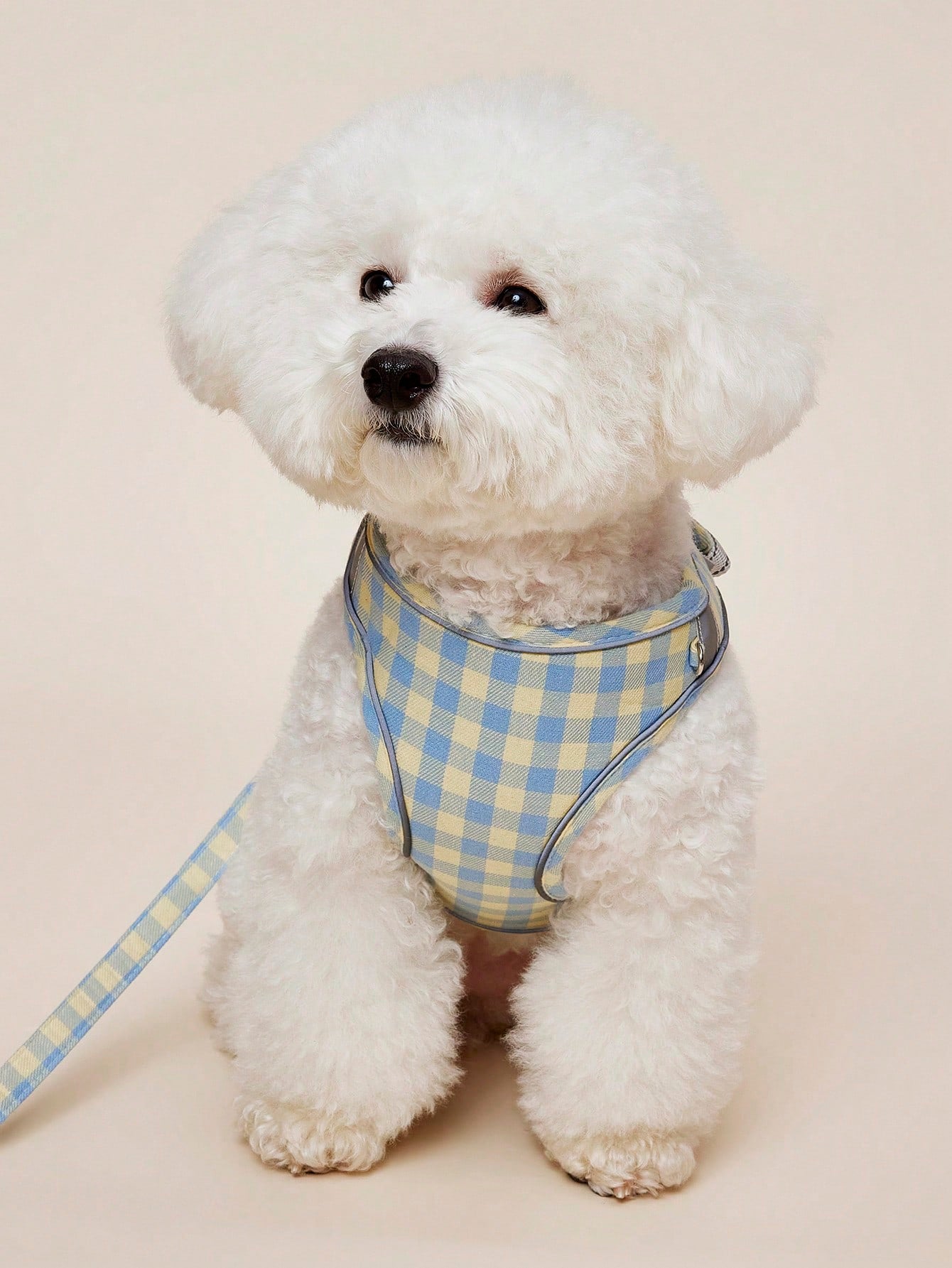 Blue plaid polyester dog harness leash with adjustable vest-style coverage for small to medium cats and dogs during outdoor walks