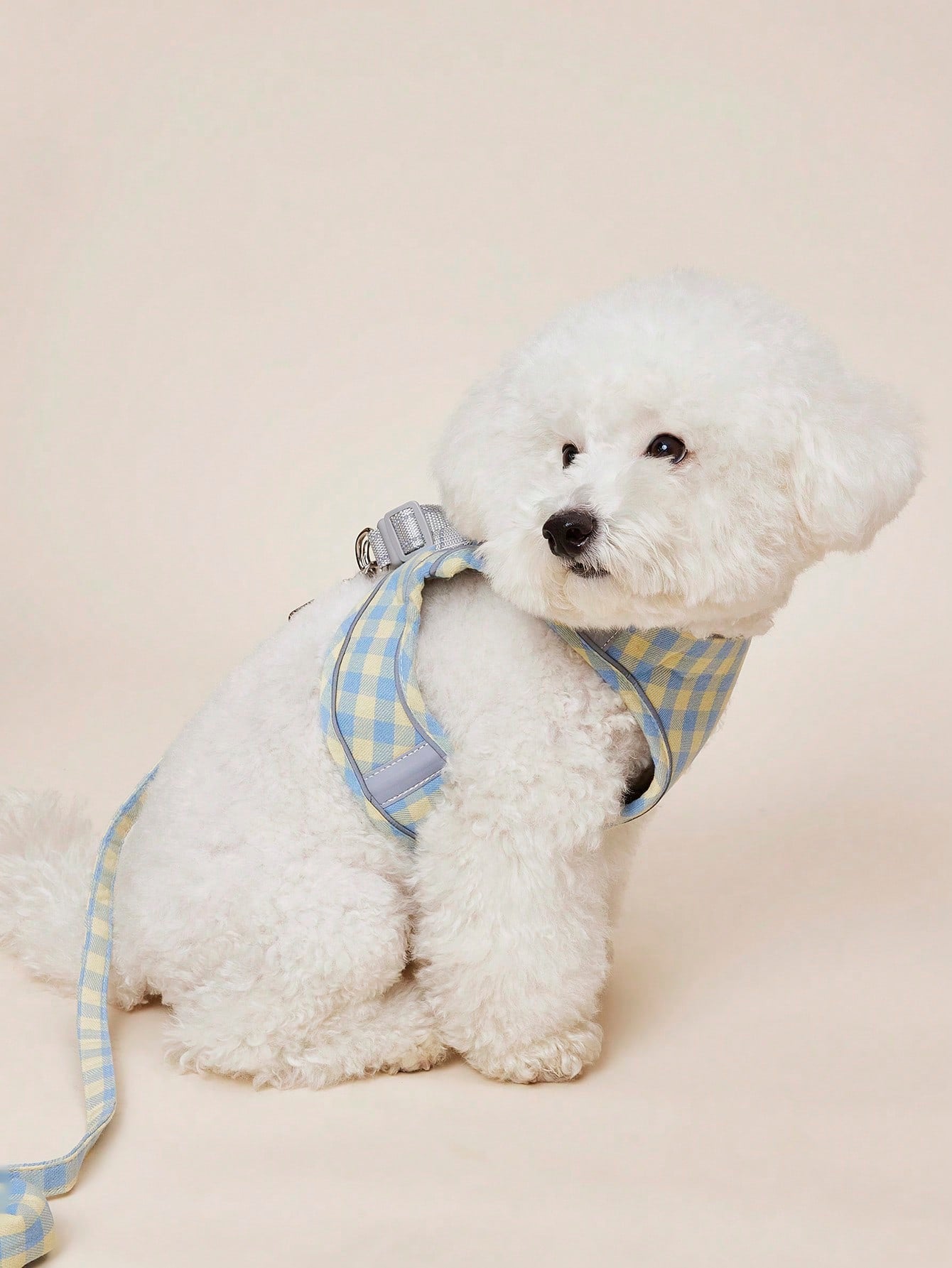 Blue plaid polyester dog harness leash with adjustable vest-style coverage for small to medium cats and dogs during outdoor walks