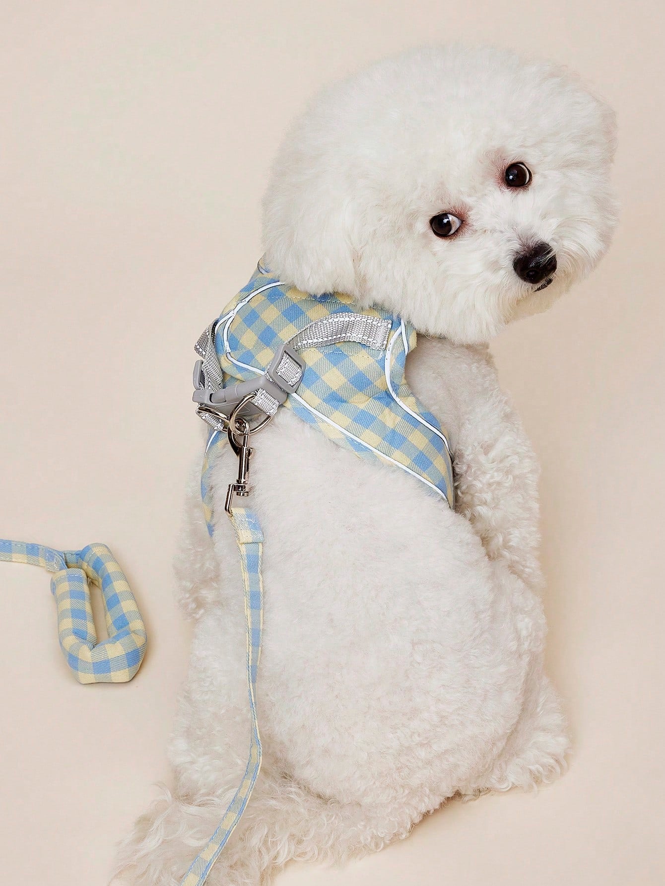 Blue plaid polyester dog harness leash with adjustable vest-style coverage for small to medium cats and dogs during outdoor walks