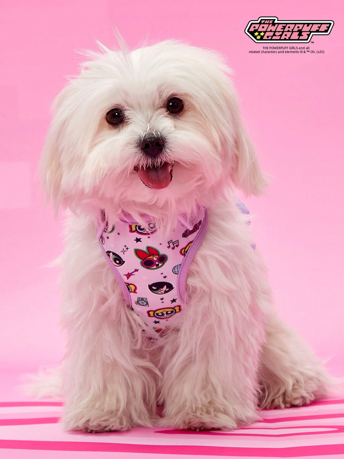 Powerpuff Girls cartoon dog harness with heart print, breathable polyester mesh, adjustable straps, and vibrant color block design for small dogs