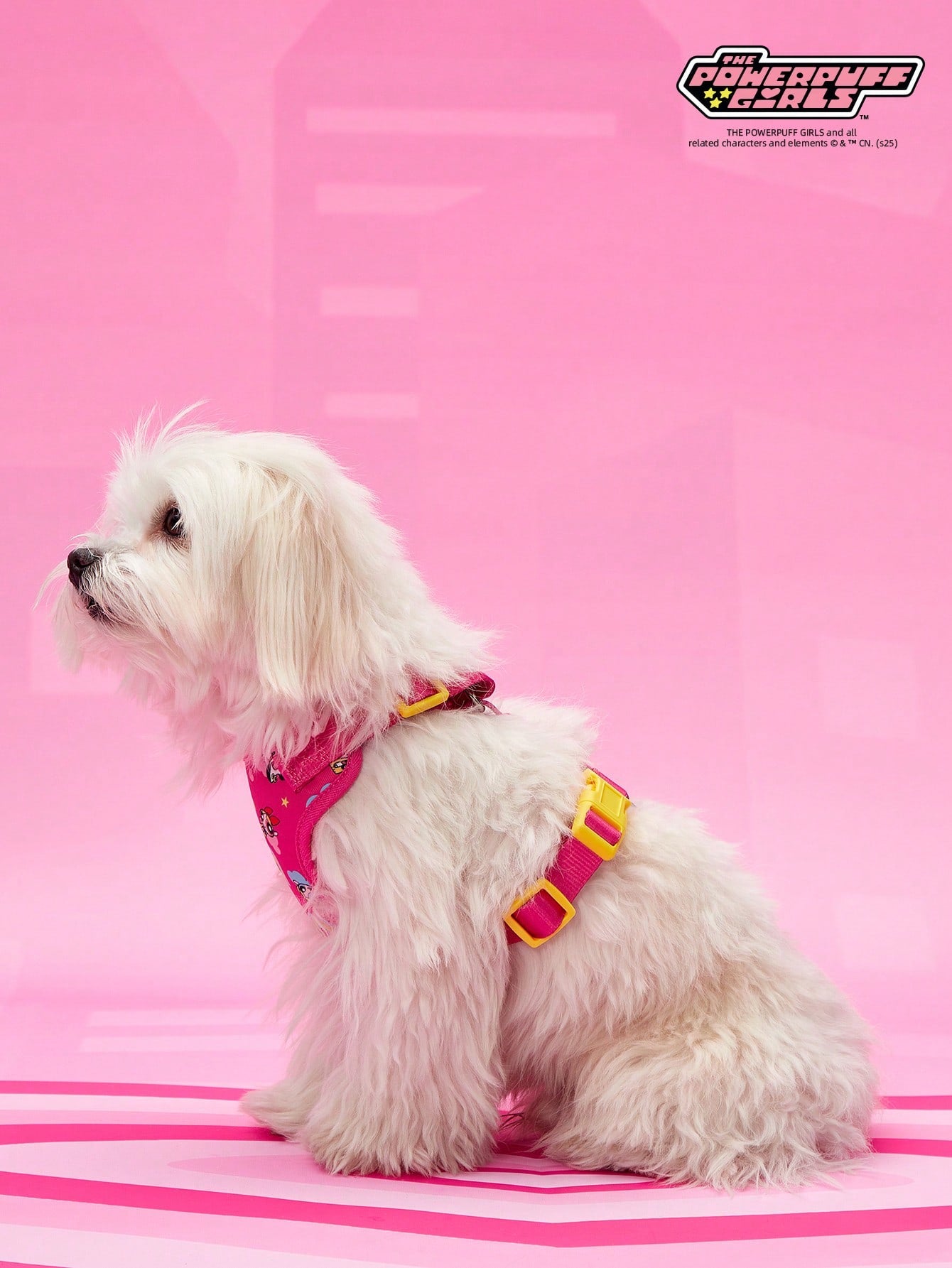 Powerpuff Girls cartoon dog harness with heart print, breathable polyester mesh, adjustable straps, and vibrant color block design for small dogs