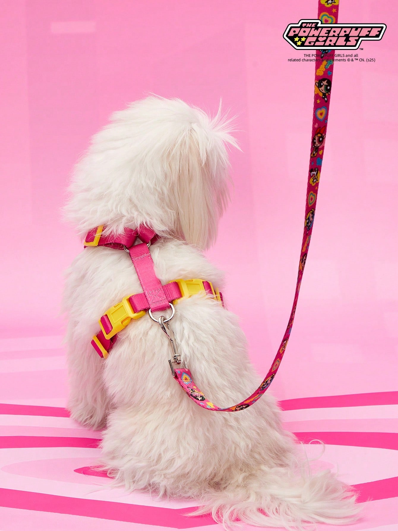 Multicolor strawberry plaid printed polyester pet harness and leash set for cats and dogs