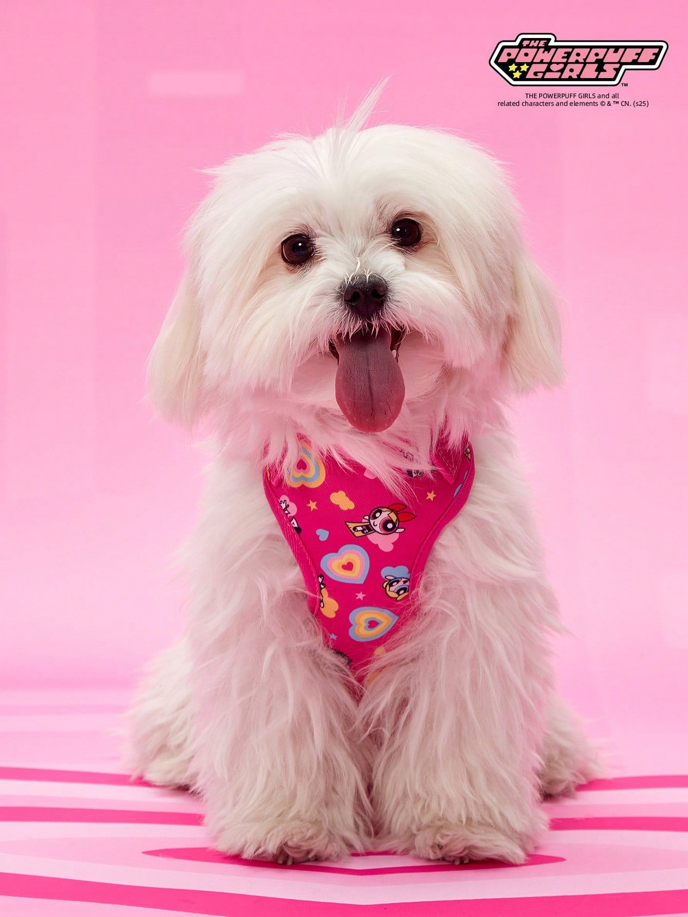 Powerpuff Girls cartoon dog harness with heart print, breathable polyester mesh, adjustable straps, and vibrant color block design for small dogs