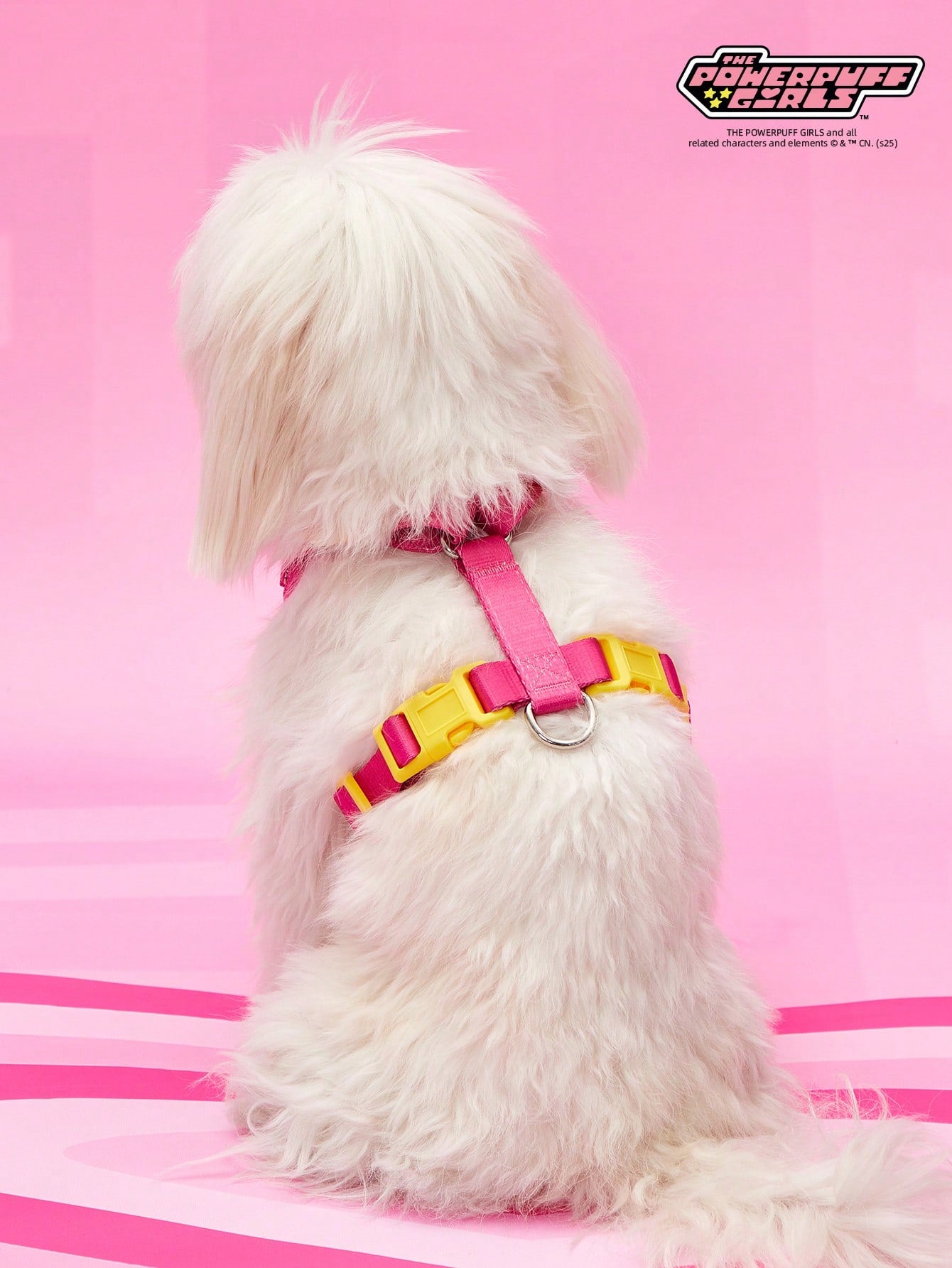 Powerpuff Girls cartoon dog harness with heart print, breathable polyester mesh, adjustable straps, and vibrant color block design for small dogs