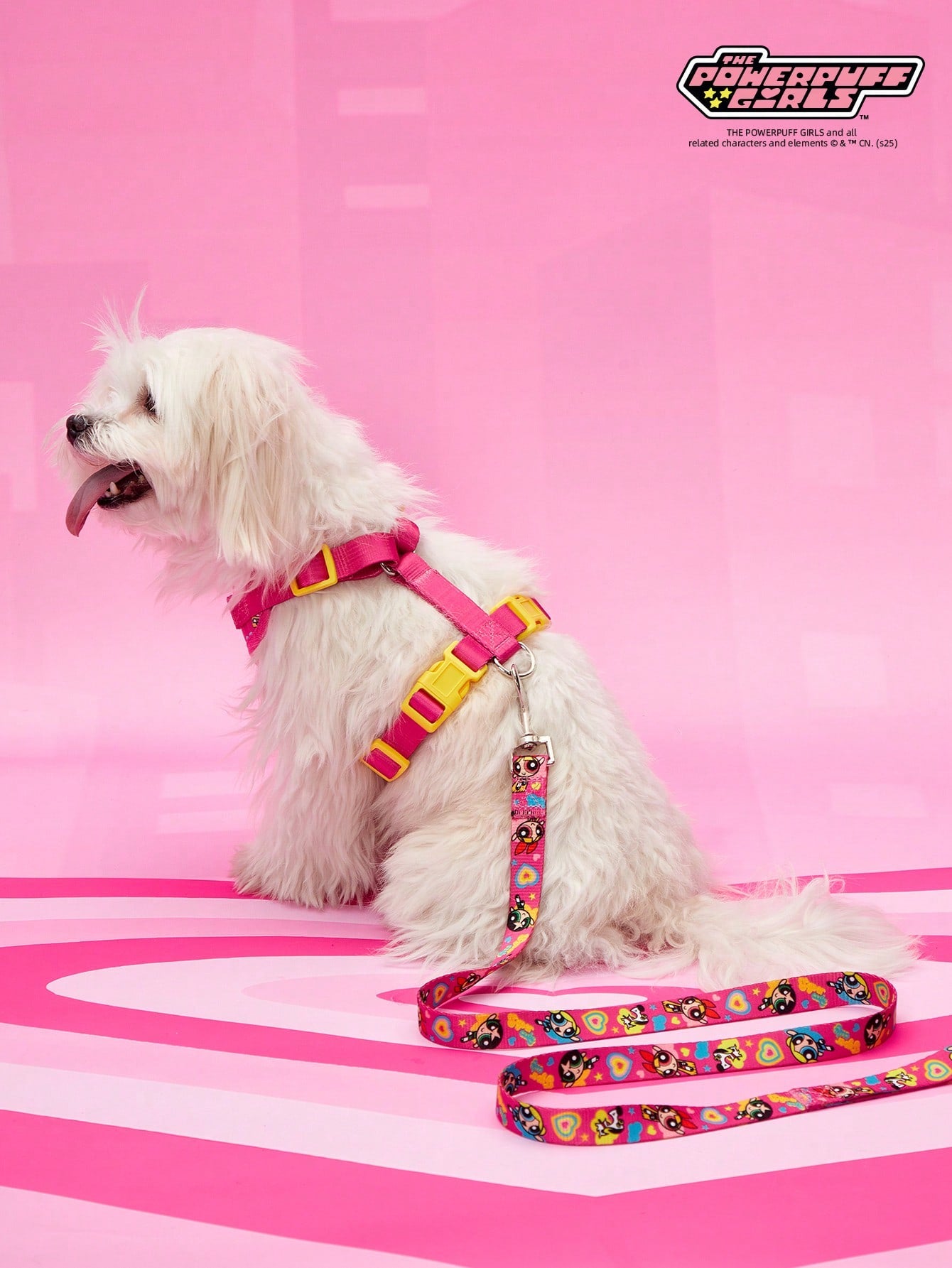 Multicolor strawberry plaid printed polyester pet harness and leash set for cats and dogs