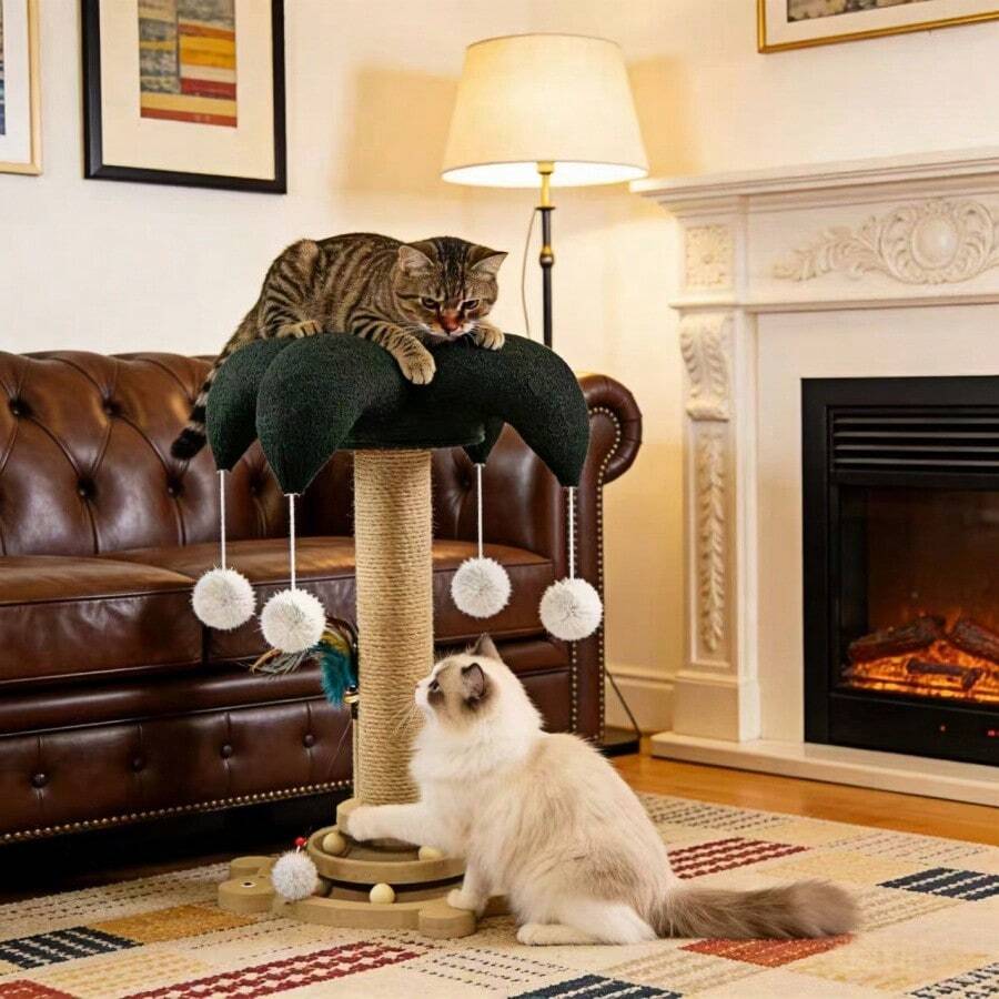 Teal blue sisal cat scratching post featuring a turtle base and clown hat design vertical pole made from durable MDF for cats and dogs.