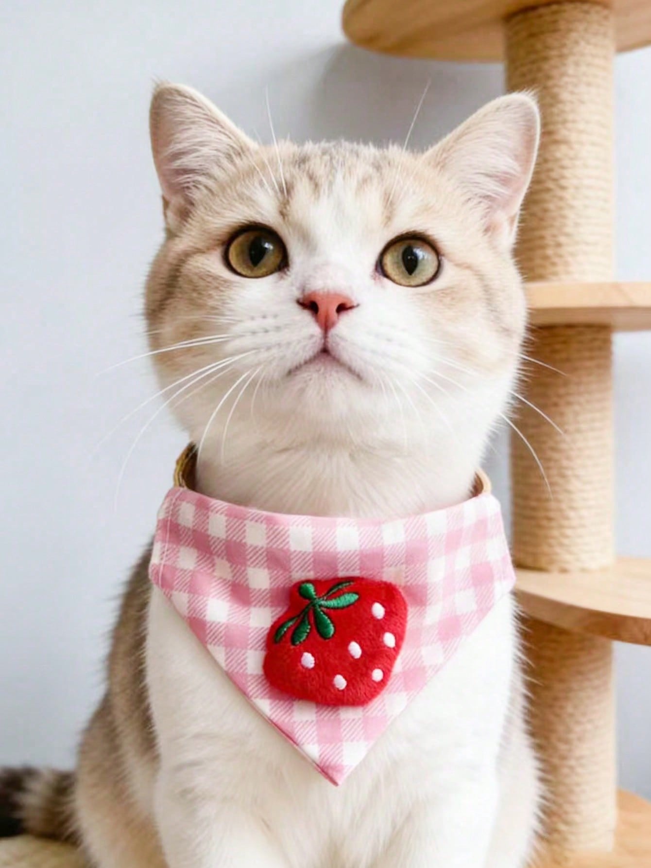 Multicolor polyester triangular pet bandana collar with cartoon design for cats and dogs, used as a cute drooling towel and pet accessory.