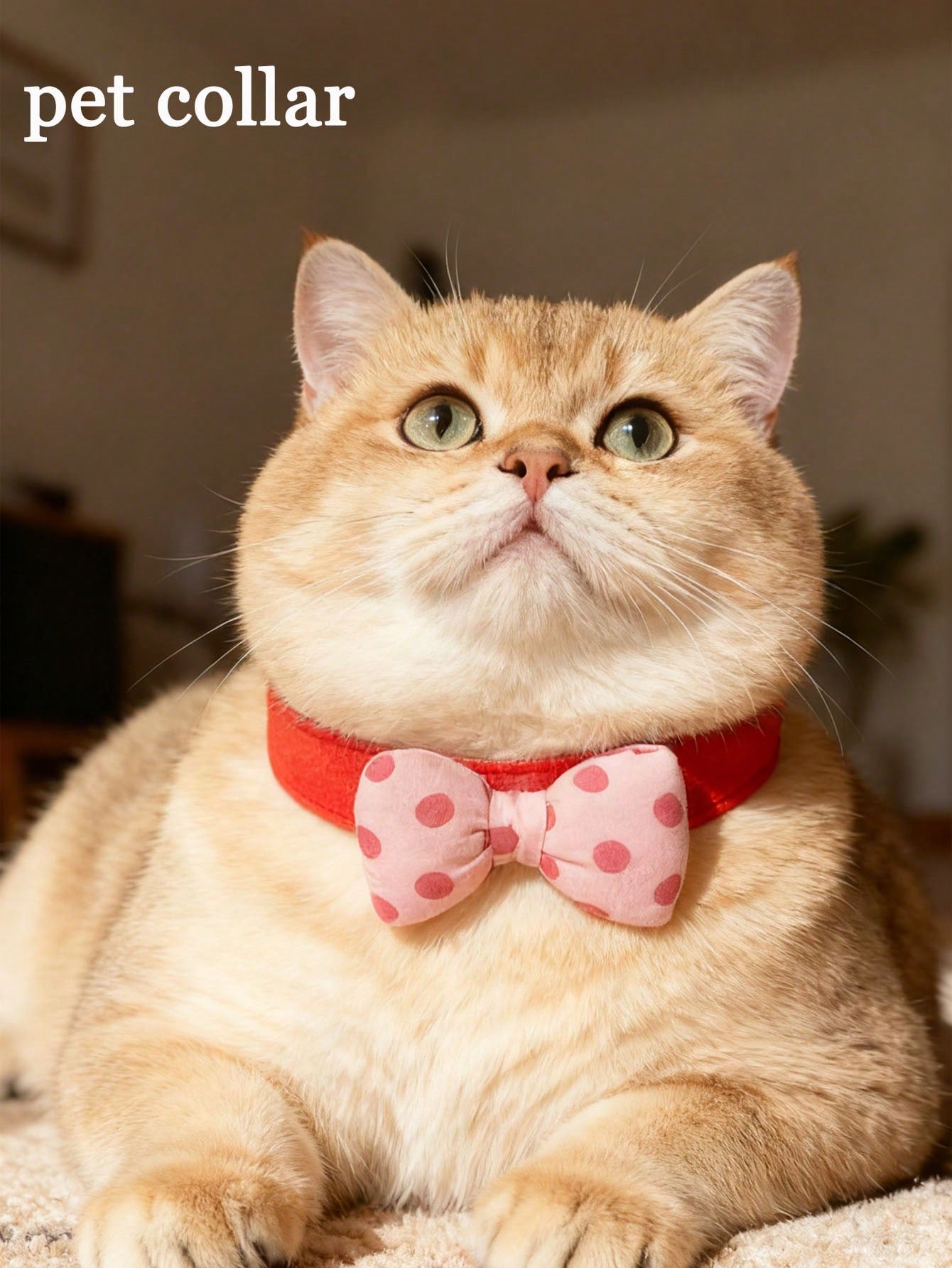 Multicolor polyester polka dot pet collar scarf for cats and dogs with festive decorative styling