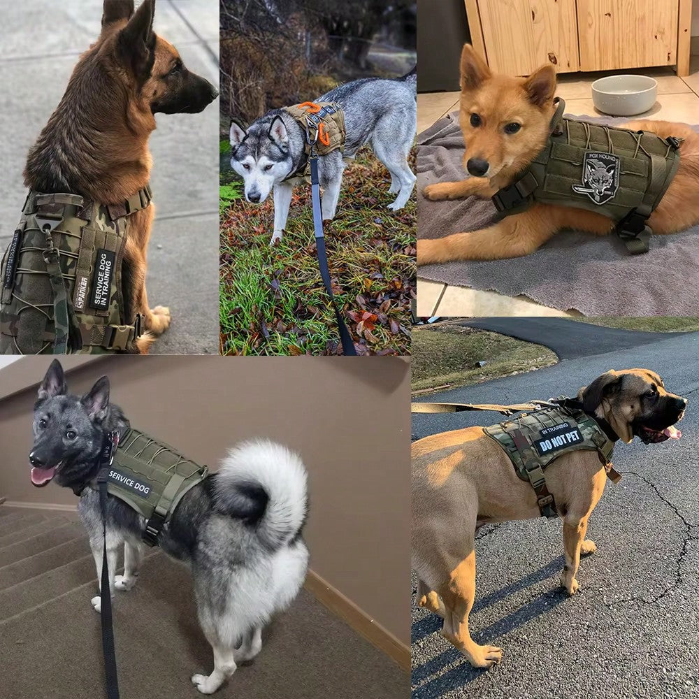 Adjustable dog training harness vest with handle in multicolor polyamide, designed for no-pull control during training, hunting, and walking