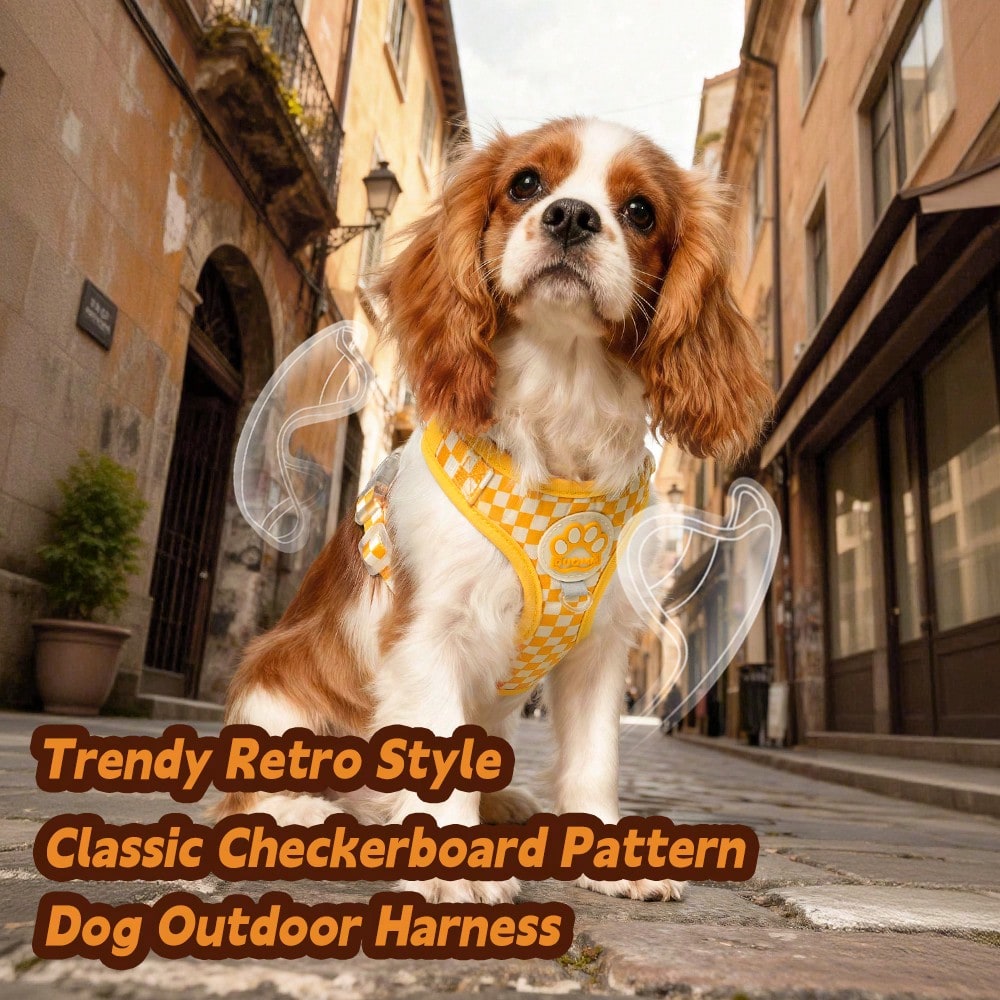 Spring New Plaid Pattern Dog Harness And Leash Set, Made Of Soft Breathable Mesh Fabric, Back Equipped With Round Ring For Increased Stability, Anti-Friction Design, Adjustable Size, Suitable For Small Dogs - Fashionable And Comfortable, Ideal For Daily