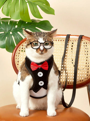 Black polyamide pet chest harness and back strap with leash for walking small and medium cats or dogs.
