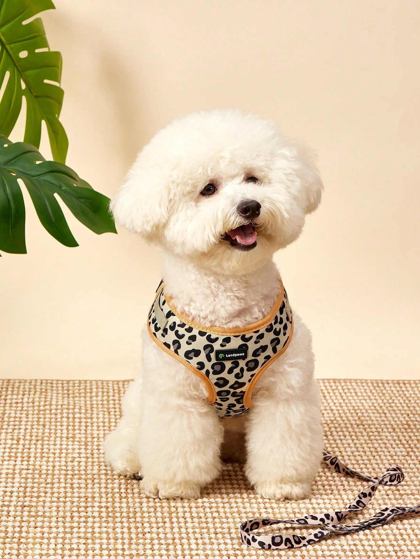 Brown 6-piece pet outdoor travel set with harness, leash, collar, bow tie, flag, and poop bag holder for cats and dogs