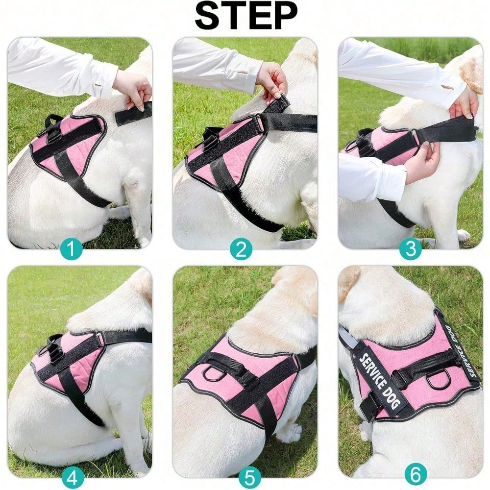 Multicolor polyester reflective chest strap dog harness leash with letter pattern, suitable for medium and large dogs and also cats