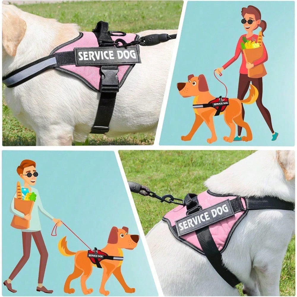 Multicolor polyester reflective chest strap dog harness leash with letter pattern, suitable for medium and large dogs and also cats