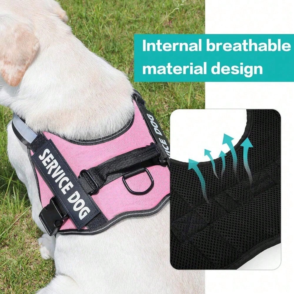 Multicolor polyester reflective chest strap dog harness leash with letter pattern, suitable for medium and large dogs and also cats