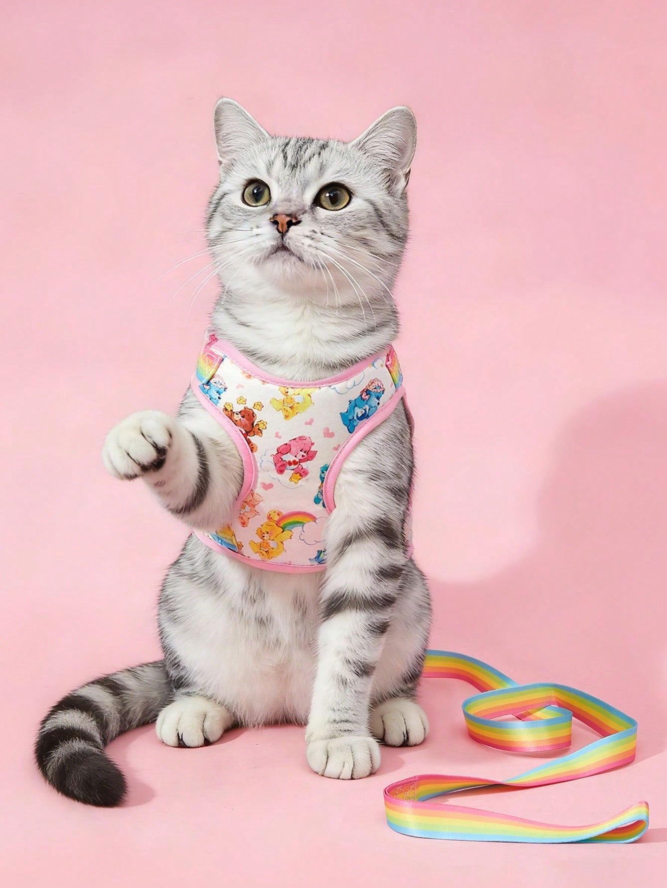 Multicolor cartoon pattern polyester pet harness and leash set with adjustable harness length for cats and dogs