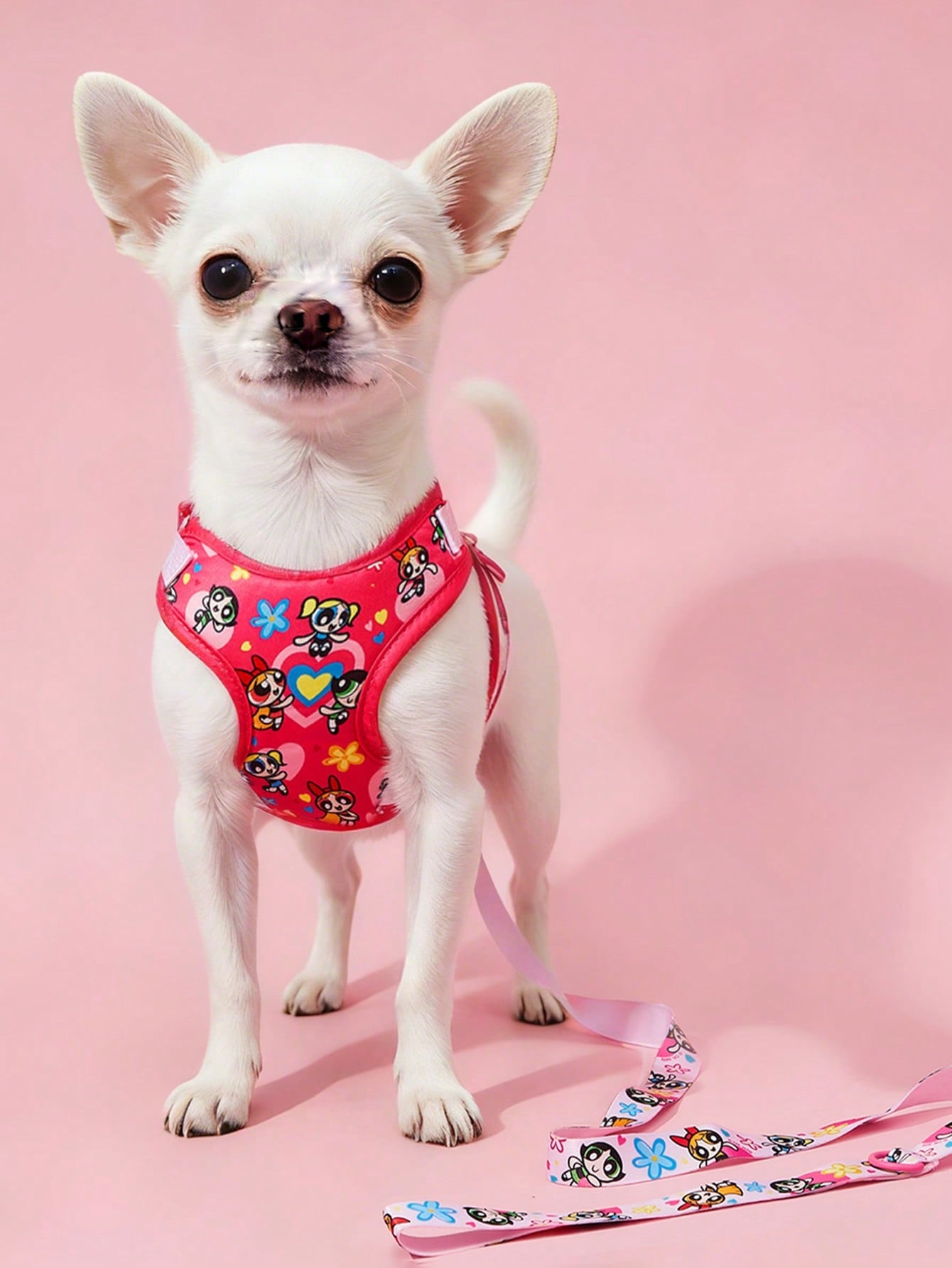 Multicolor cartoon pattern polyester pet harness and leash set with adjustable harness length for cats and dogs