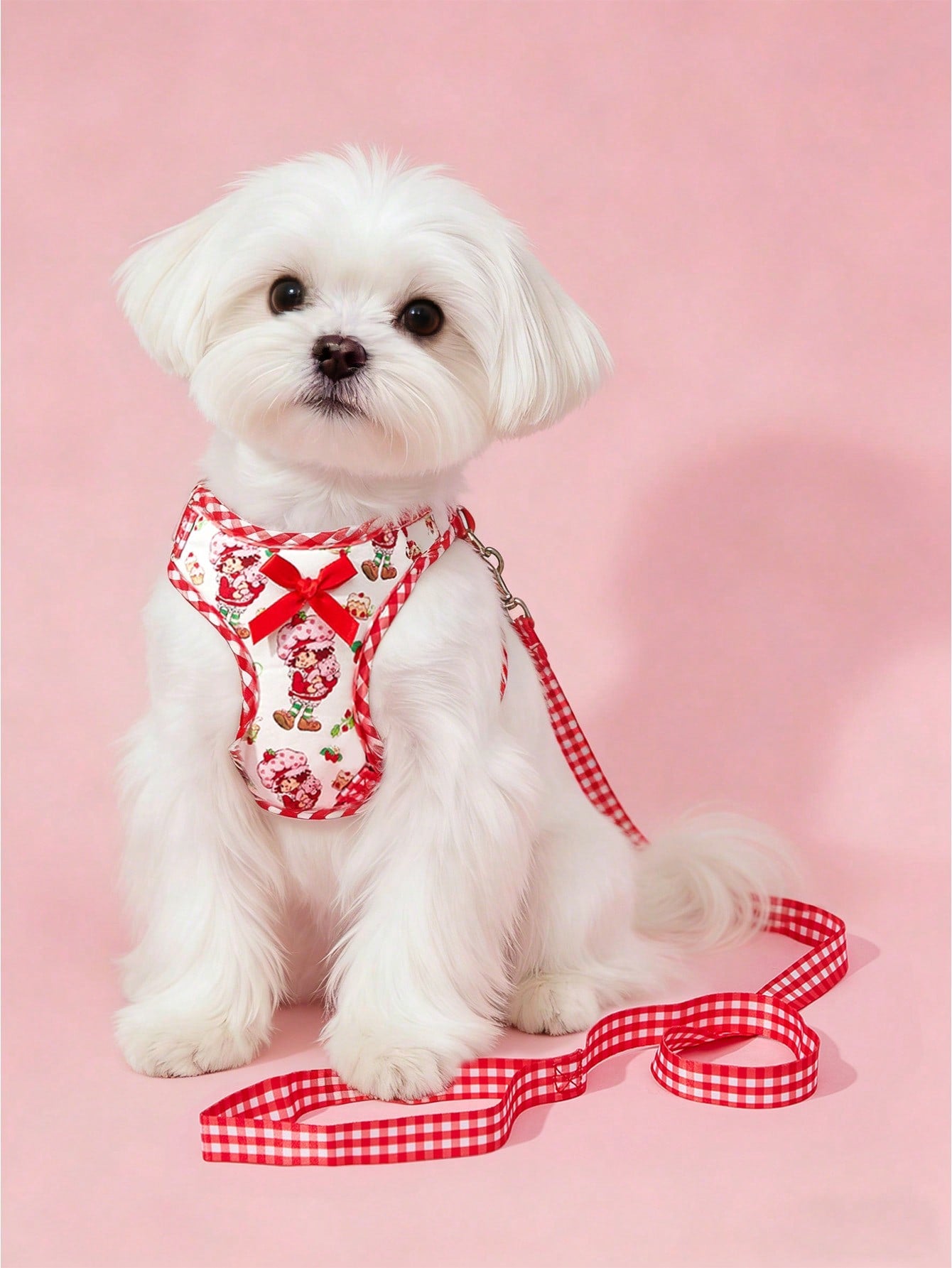 Multicolor cartoon pattern polyester pet harness and leash set with adjustable harness length for cats and dogs